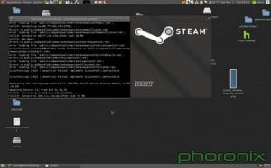 Linux Steam