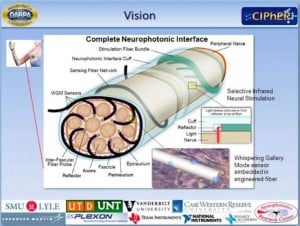 Neurophotonic Diagram
