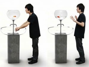 The Fishbowl Sink