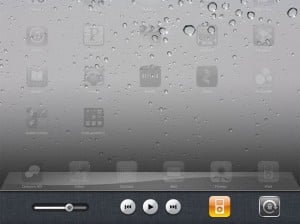 iOS 4.2 iPad