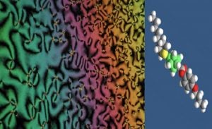 Zwitterionic Material