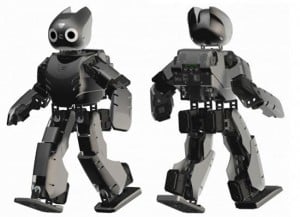 DARwIn-OP Robot