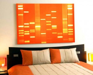 DNA 11