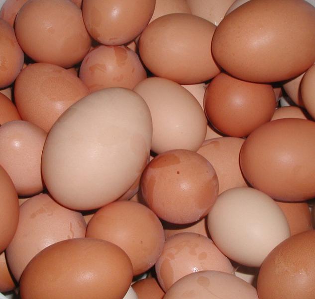 Eggs