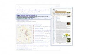 Google Instant Preview