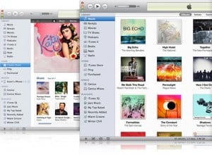 iTunes 10.1