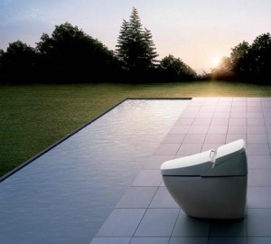 Inex Toilet