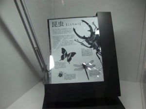 Sony E-paper