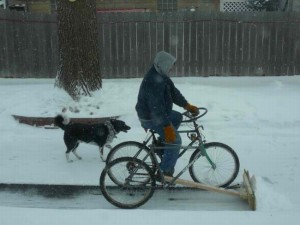 Craig Snow Plow