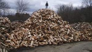 Mascoma Biofuel