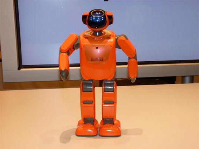 PALRO Robot 