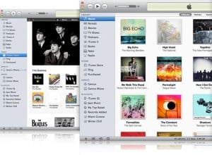 Apple iTunes 10.1.2
