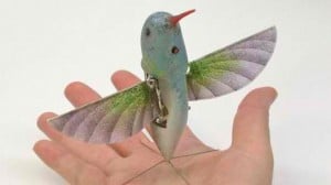 Hummingbird