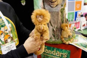 Tandars monkey