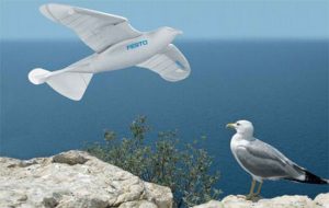 Festo bird