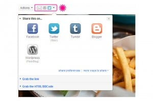 Flickr Social Sharing Buttons