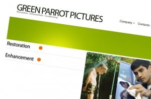 Green Parrot Pictures