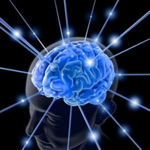 Memory Brain