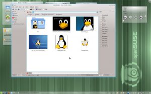 OpenSUSE 11.4