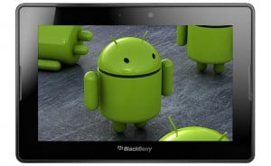 Blackberry Playbook