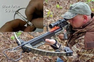 Crossbow comparison