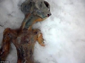 Dead ALien