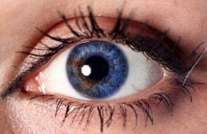 Eye Sensor