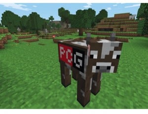 Minecraft Demo