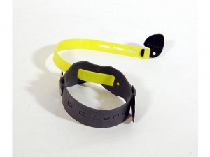 Picband