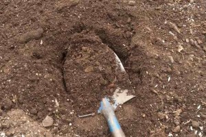 Shovel