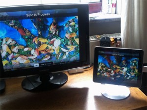 Display Mirroring iPad