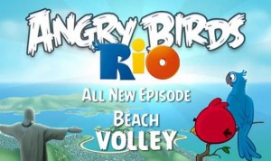 Angry Birds Rio Beach Volley Ball