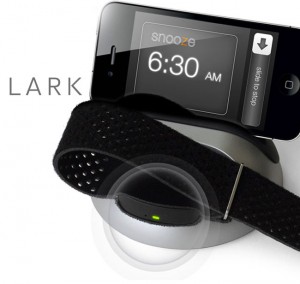 Lark Silent Alarm