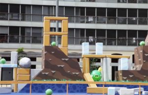 Real Life Angry Birds