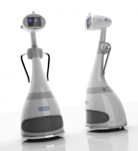 RoboDynamics Luna
