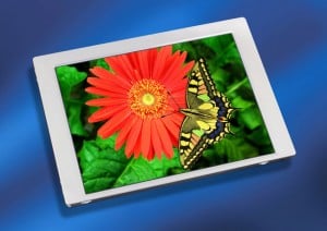 Toshiba Display
