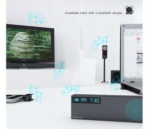 Cicadiddae clock