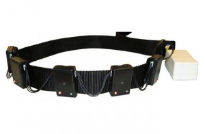 Haptic Belt