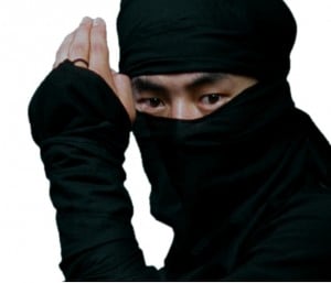 Ninja