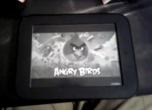 Angry Birds Nook Touch