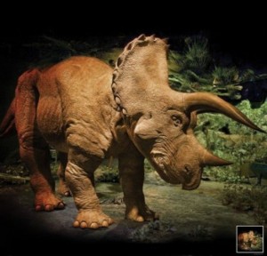 Animatronic Triceratops