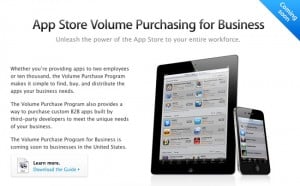 Apple App Store Bulk Buying