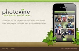 Google Photovine