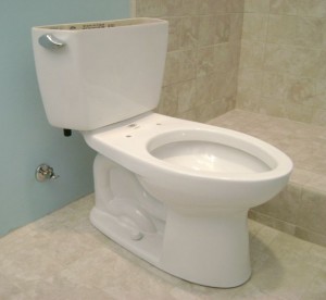 Toilet