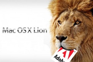 adobe flash OS X Lion