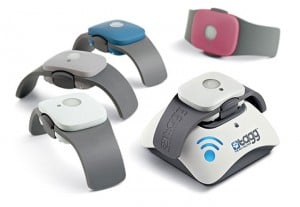 Pet tracker