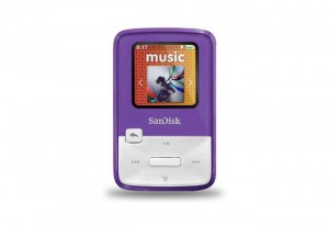 SanDisk Clip Zip