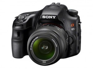 Sony A65