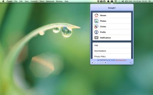 Tab For Google+