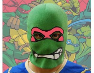 Turtle Robber